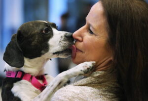 Westminster Kennel Club Hosts Masters Agility Championship